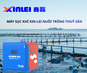 Hướng Dẫn Cách Tăng Oxy Hòa Tan Trong Ao Đơn Giản Và Tiết Kiệm Chi Phí